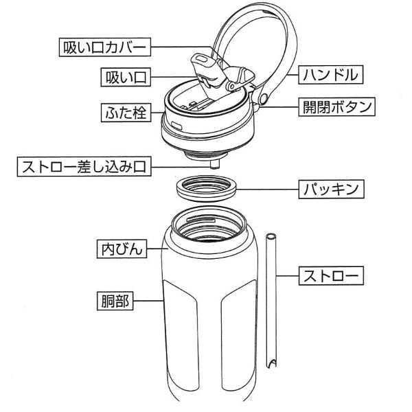 HC-1281 クイックチャージャー ワンタッチストローボトル750(ブラック)